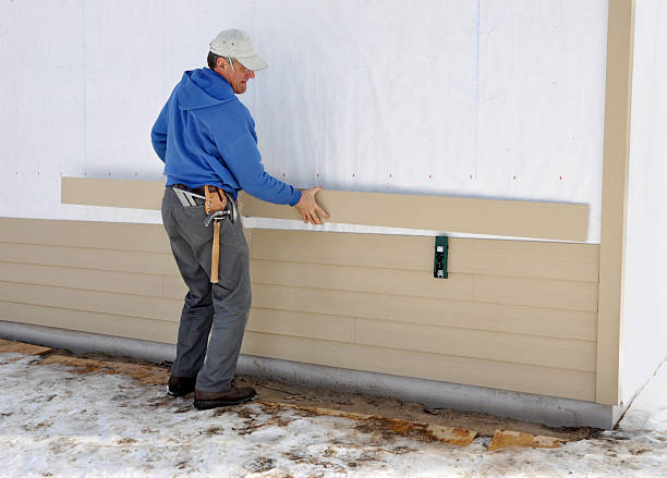 Best Siding Removal and Disposal  in Holland, MI